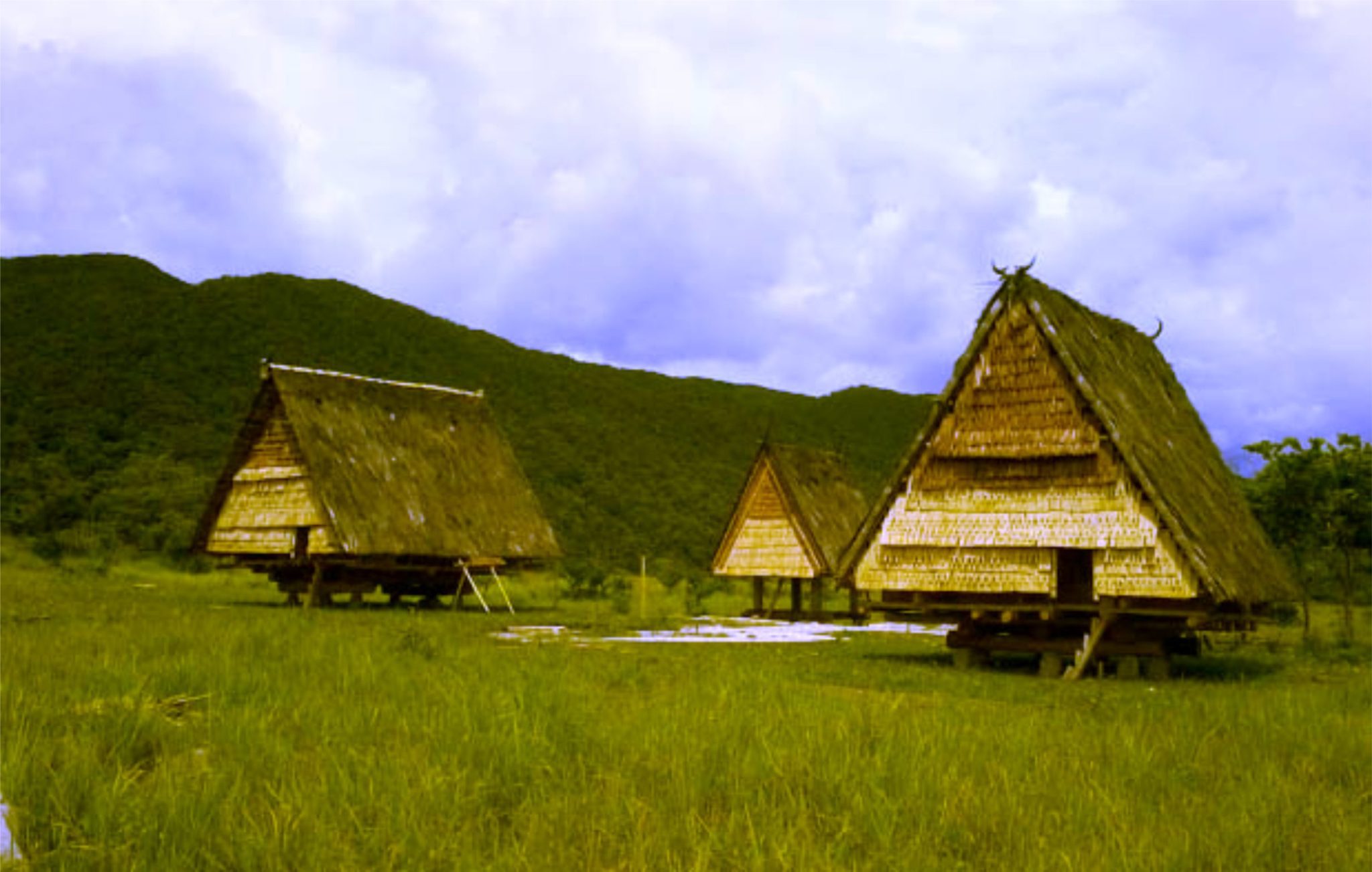 Rumah Adat Provinsi Sulawesi Tengah (Tambi)