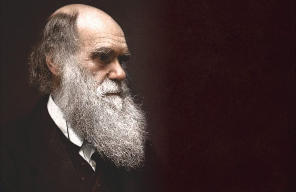 Biografi Charles Robert Darwin, Si Jeinius Pencetus Teori Evolusi Dari ...