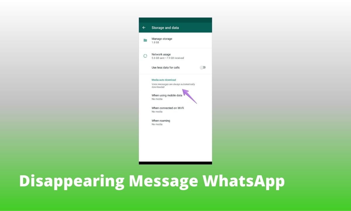 Apa Itu Disappearing Message WhatsApp