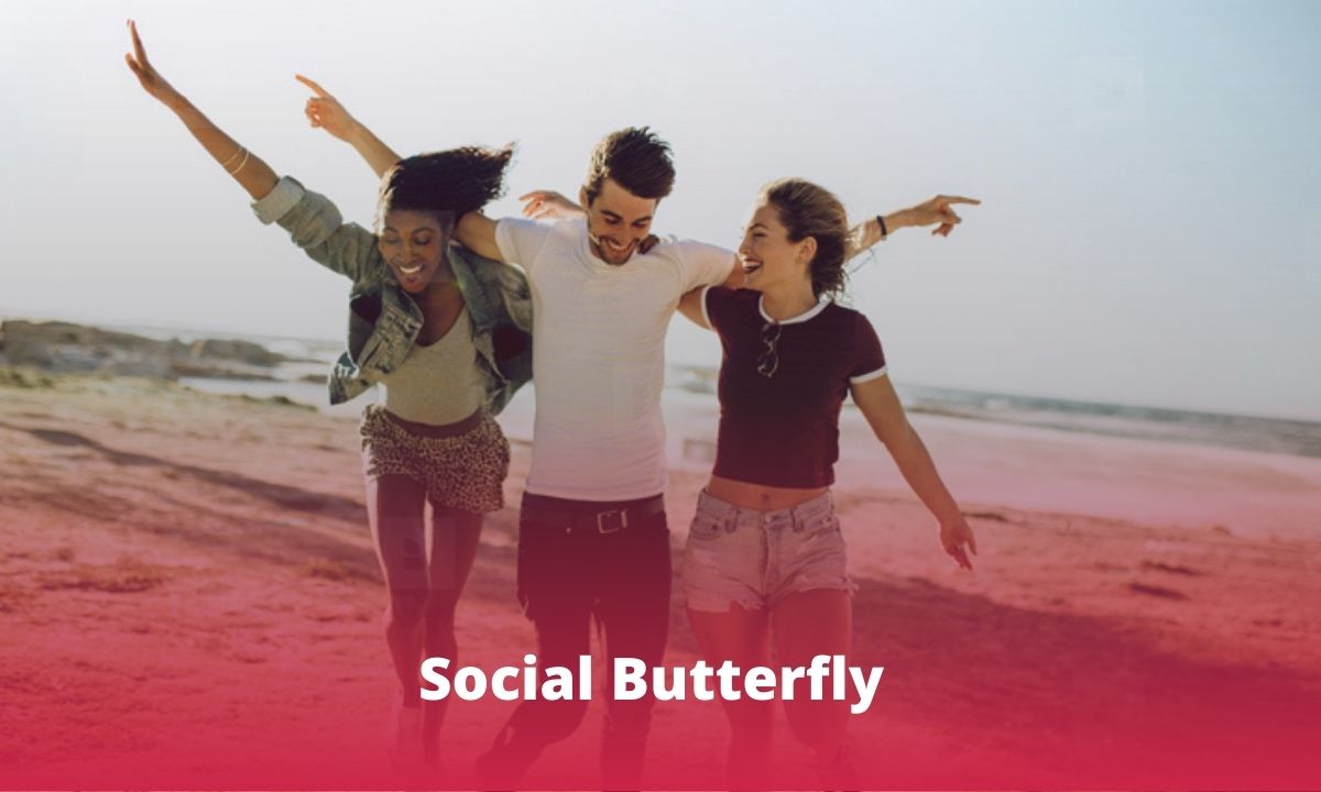 Social Butterfly