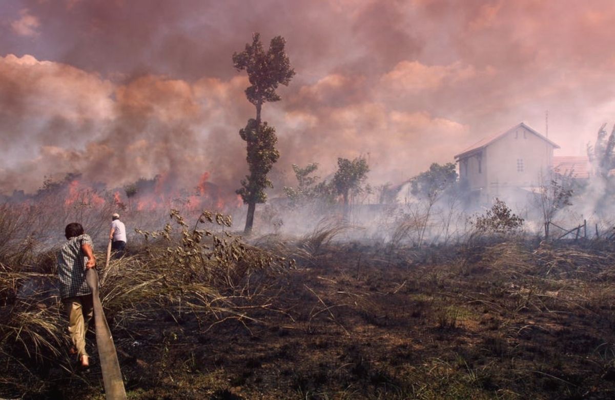 30 Titik Panas Terdeteksi di Kalimantan Timur, BMKG Ingatkan Waspada terhadap Kebakaran Hutan dan Lahan