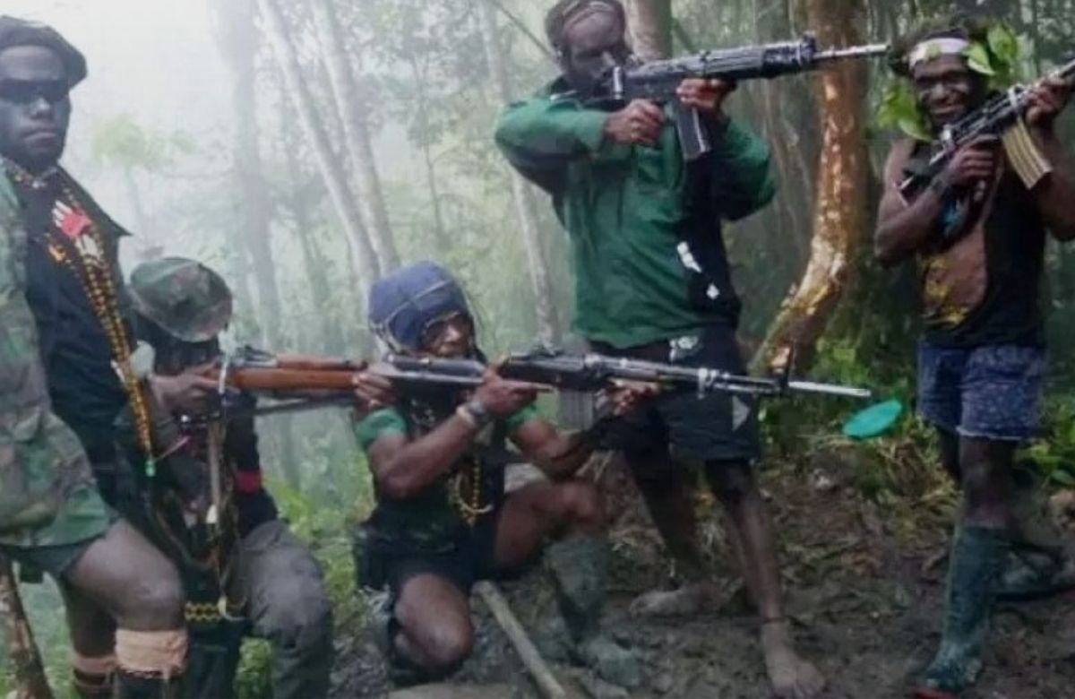 Pekerja BTS yang Disandera oleh KKB di Papua Pegunungan Berhasil Dibebaskan oleh Pendekatan Tokoh Masyarakat