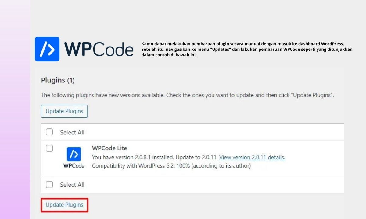 Kamu dapat melakukan pembaruan plugin secara manual dengan masuk ke dashboard WordPress.