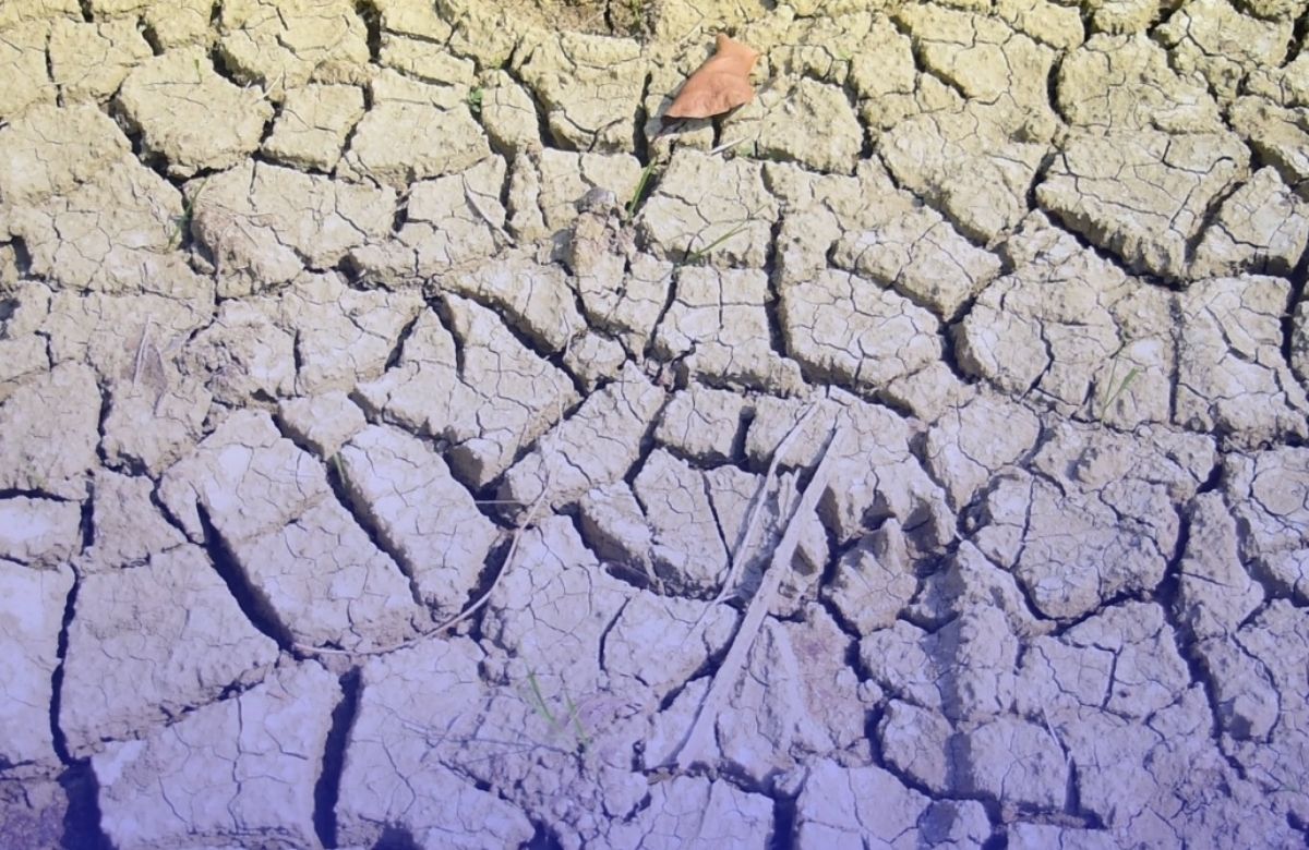 Ancaman Besar: Dampak El Nino Terhadap Kesehatan dan Sosial Masyarakat Mengkhawatirkan