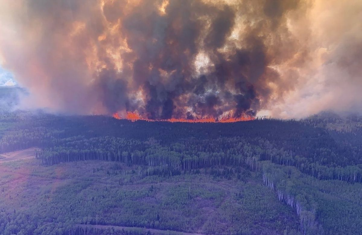 Mengamuk Tak Terbendung: Kebakaran Hutan di Kanada Mencapai 2.405 Titik, Ancam Lingkungan dan Keselamatan